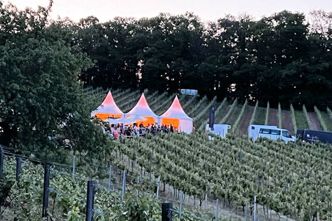 Impressionen vom Birkweiler Weinfrühling