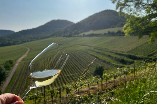 Impressionen vom Birkweiler Weinfrühling