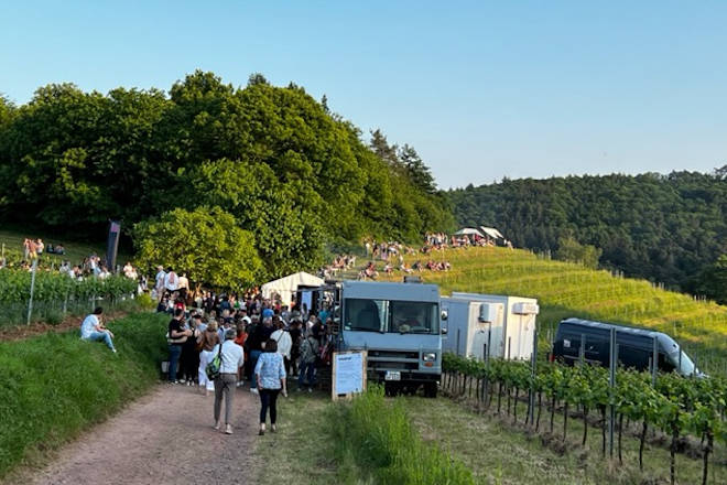 Impressionen vom Birkweiler Weinfrühling