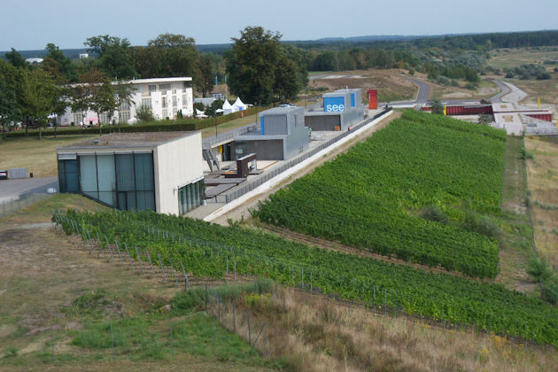 Blick von der Victoriahöhe auf die IBA Terrassen und den Weinberg, wo das Großräschener Federweißerfest stattfindet.