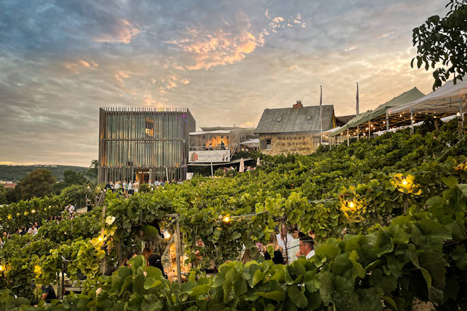 Impressionen vom Wein am Stein Festival in Würzburg