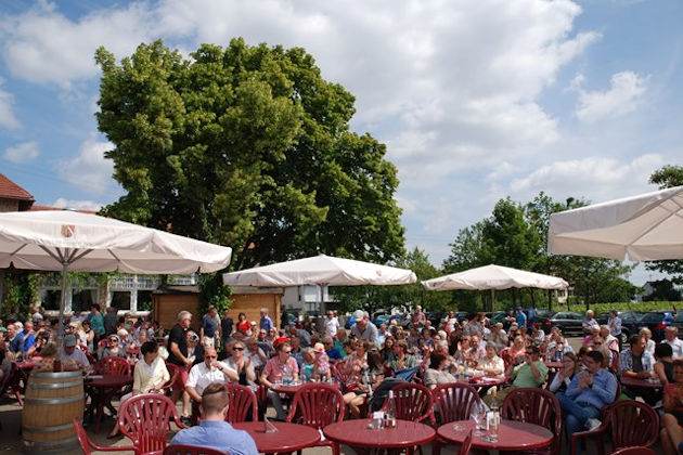 Impressionen vom Maifest unter den Linden im Weinland Königsbach-Neustadt