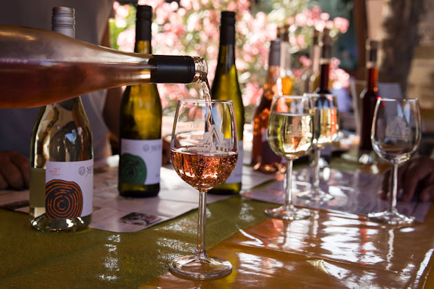 Impressionen vom Weinmarkt im Weingarten bei Späth in Berlin-Treptow