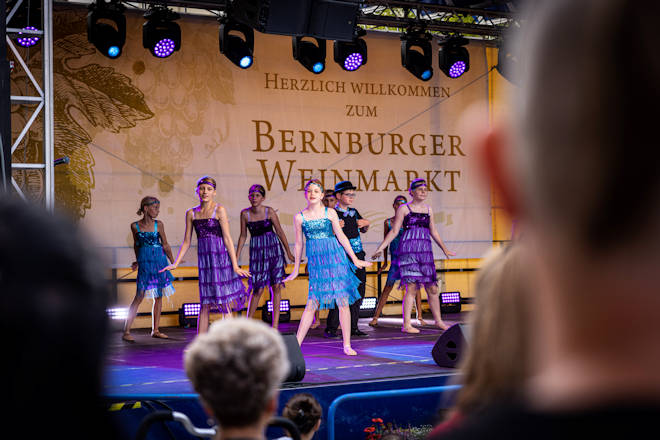 Impressionen vom Bernburger Weinmarkt